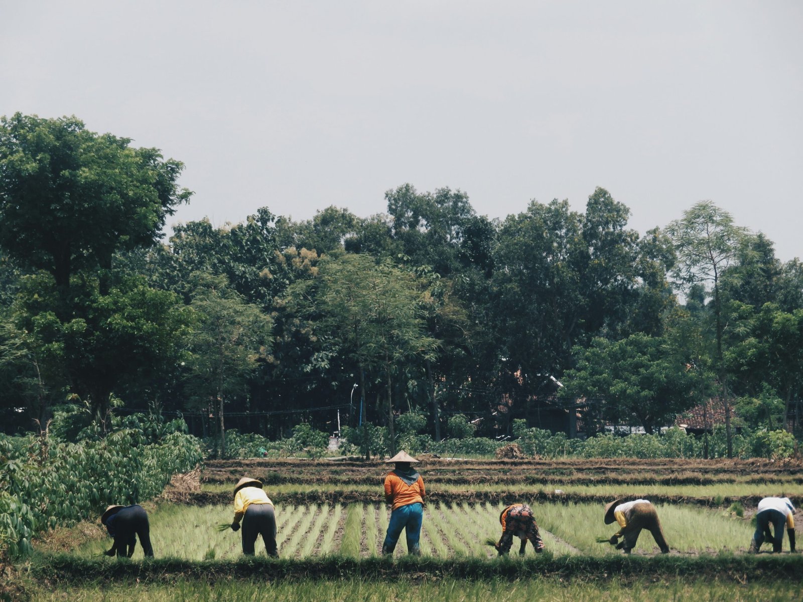 nuril fikriyah lhktcchel2y unsplash